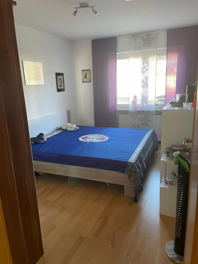 Schone Wohnung Nahe Bodensee Und Schweiz Гайлинген Екстериор снимка